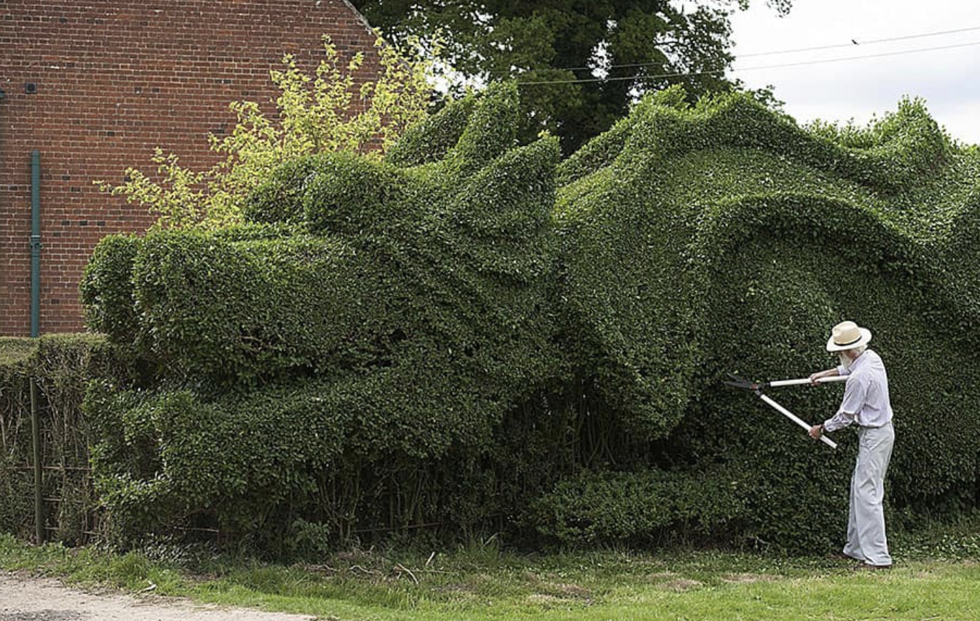 75-Year old man spends 13 years making a dragon from his hedge