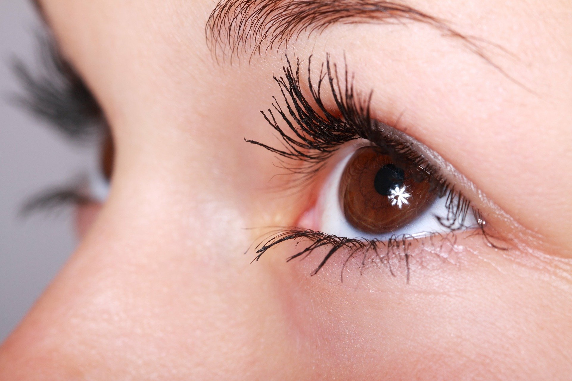 The reason why we have eyelashes