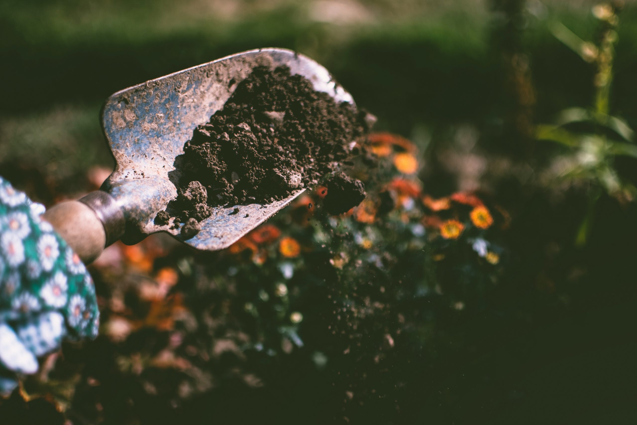 Make your garden hay fever-proof with these plants and flowers