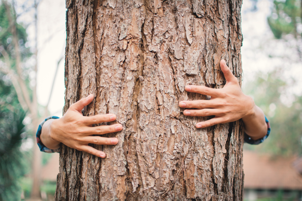 Rethink your relationship with nature: the scope of the loneliness trap