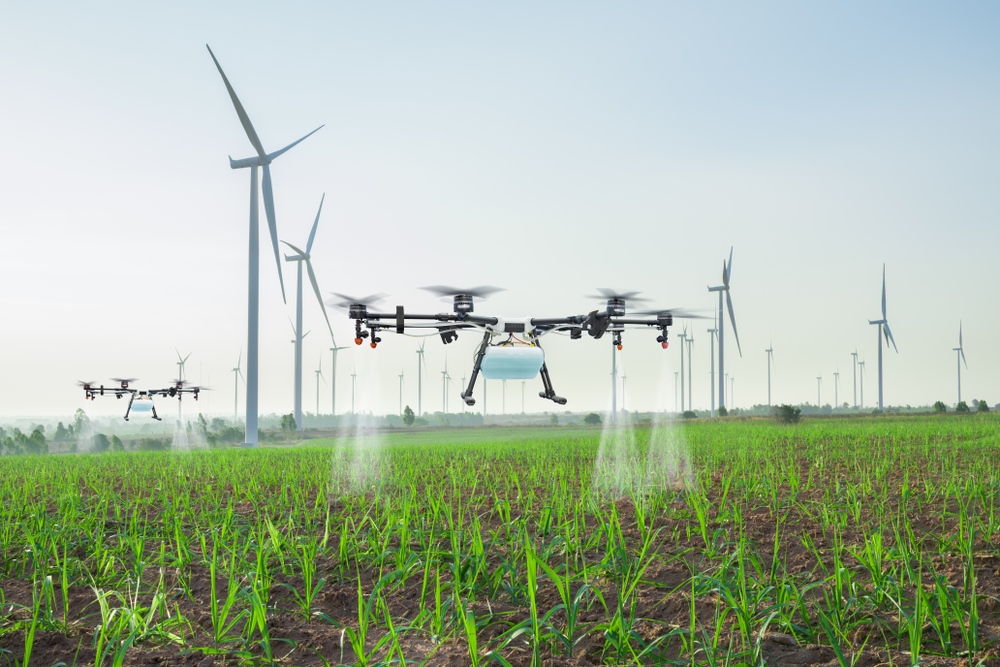 How we will feed the world in 2050
