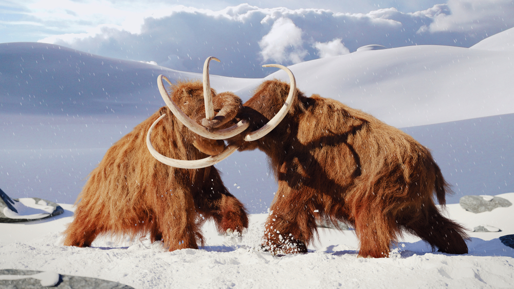 What really happened to mammoths and other ice age giants