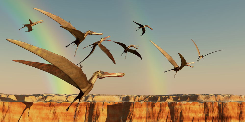 The largest bird ever