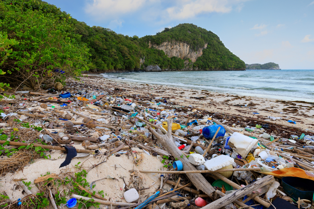 The islands we used to play on: tropical plastic dumpsters
