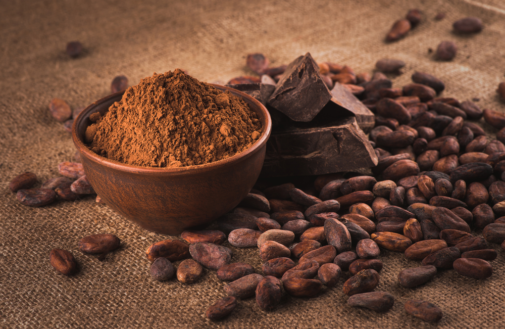 What is the difference between cocoa and cacao?